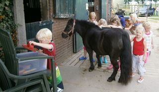 Foto van Minicamping 't Nieuw Heegt