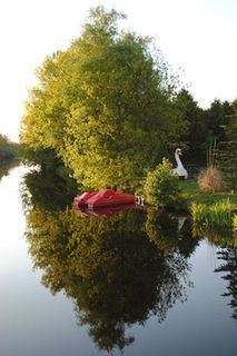 Foto van SVR Camping Kivafarm