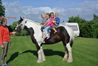 Foto van Minicamping Dorpszicht