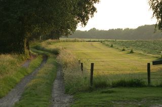 Foto van Camping Kuiperberg